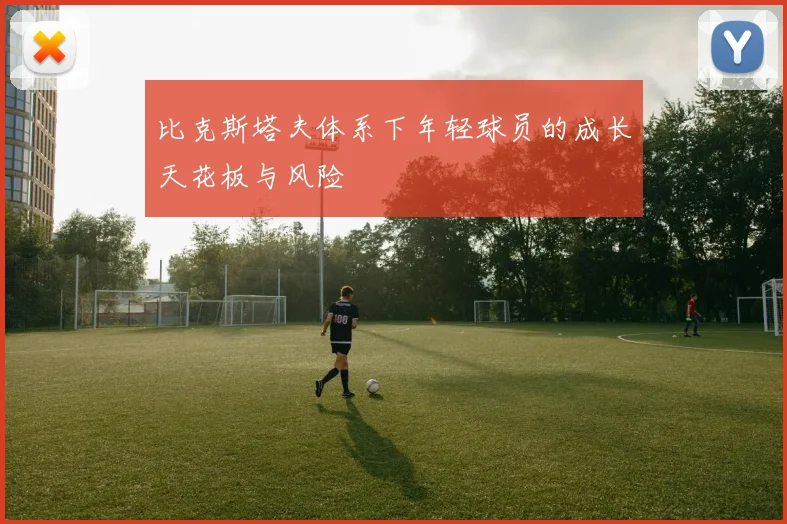 比克斯塔夫体系下年轻球员的成长天花板与风险