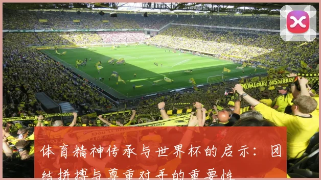 体育精神传承与世界杯的启示：团结拼搏与尊重对手的重要性