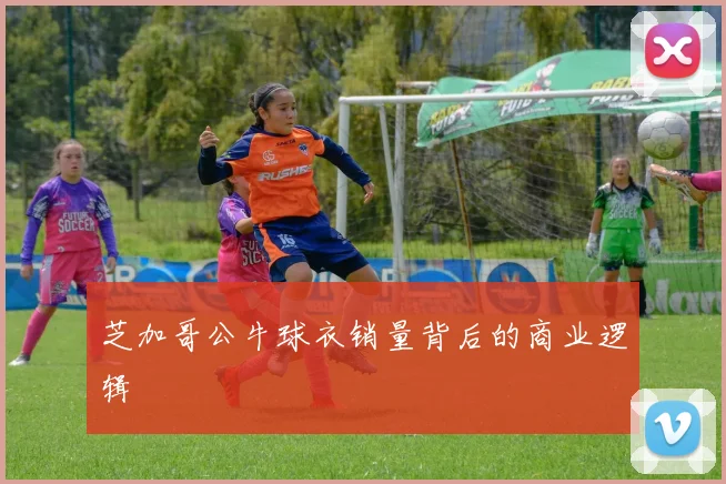 芝加哥公牛球衣销量背后的商业逻辑