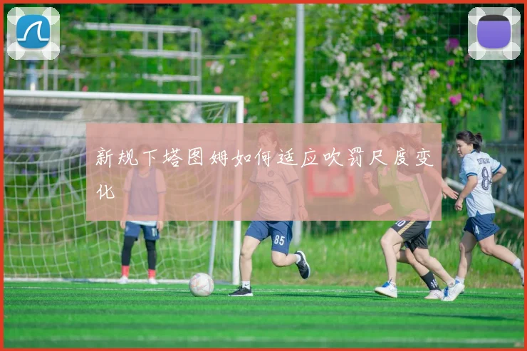新规下塔图姆如何适应吹罚尺度变化